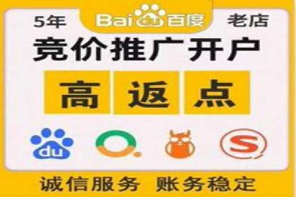 某知名企业SEM营销全案解析